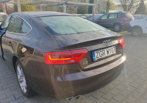 Audi A5 cena 62900 przebieg: 158255, rok produkcji 2014 z Gryfino małe 379